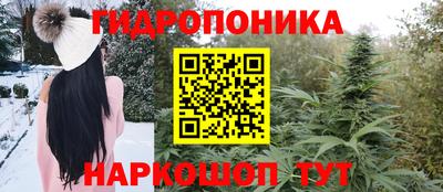 прущие грибы Кинель